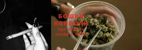 амф Сатка